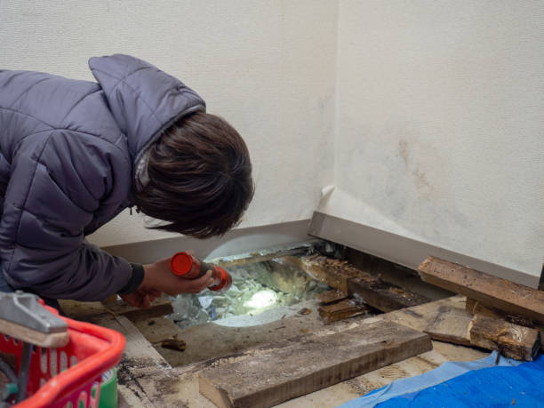 Best Residential Mold Inspection & Testing  in Lakefield, MN