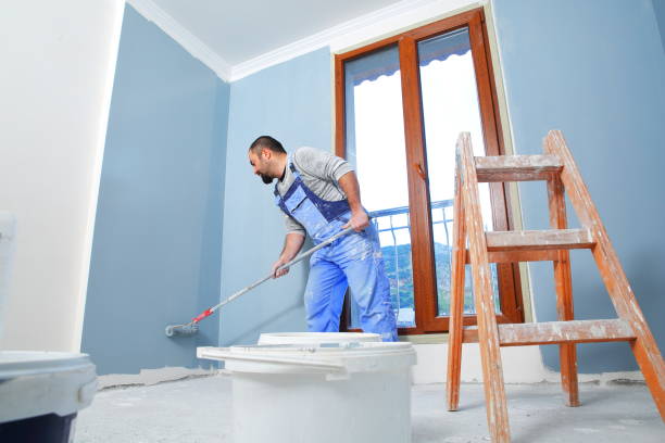 Best Attic Mold Removal  in Lakefield, MN