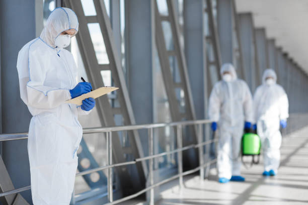 Mold Removal for HVAC Installations in Lakefield, MN