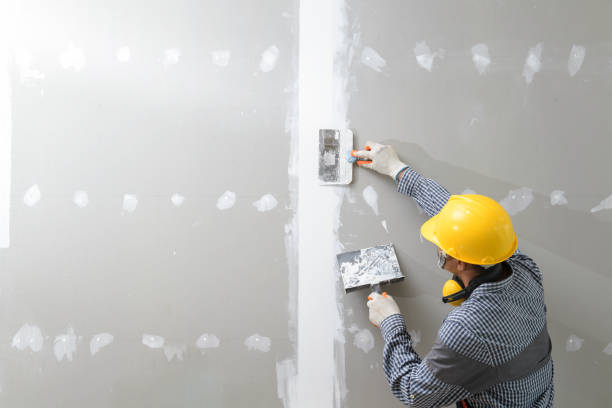  Lakefield, MN Mold Removal Pros