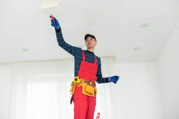 Best Emergency Mold Remediation  in Lakefield, MN