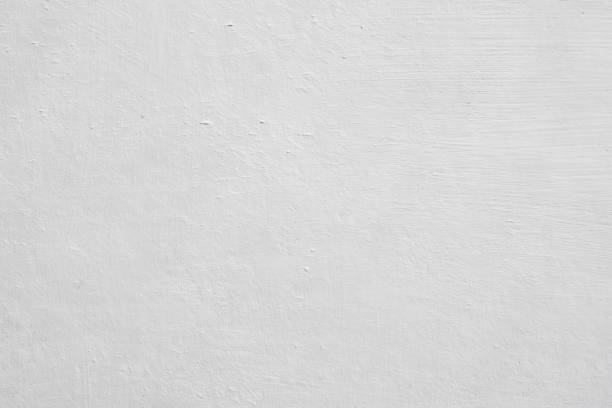 Mold Documentation for Insurance Claims in Lakefield, MN