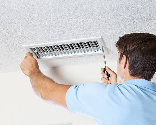 Best Mold Damage Restoration  in Lakefield, MN