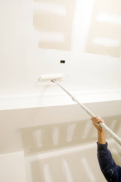 Best Post-Construction Mold Inspection  in Lakefield, MN