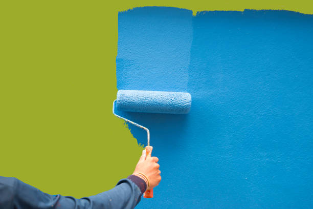 Trusted Lakefield, MN Mold Removal Experts